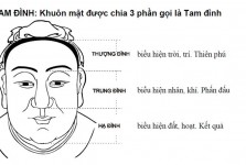 dung mạo đến từ đâu