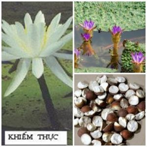 Khiếm thực