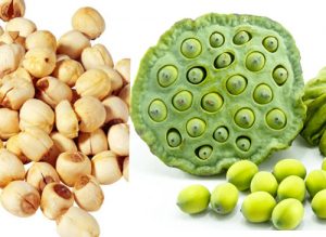 Liên nhục là hạt cây sen